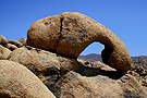 Hippopotammus Arch